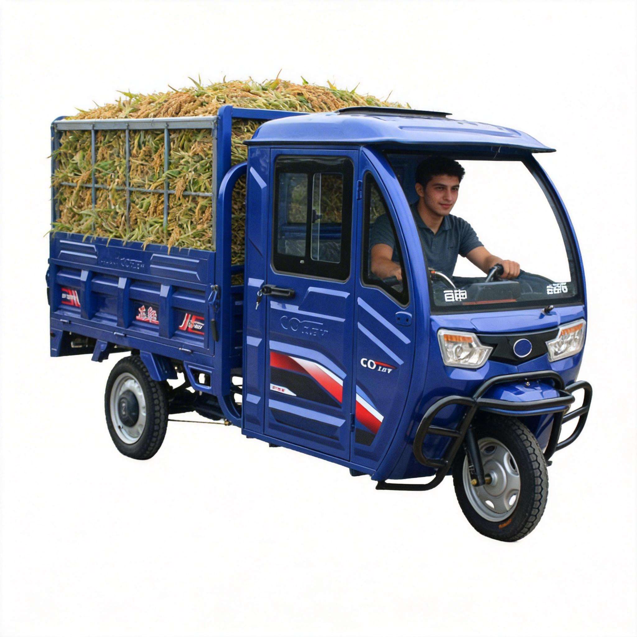 Cargo Vehicle Electric Trike E - огляд і ціна Home Improvement Fence